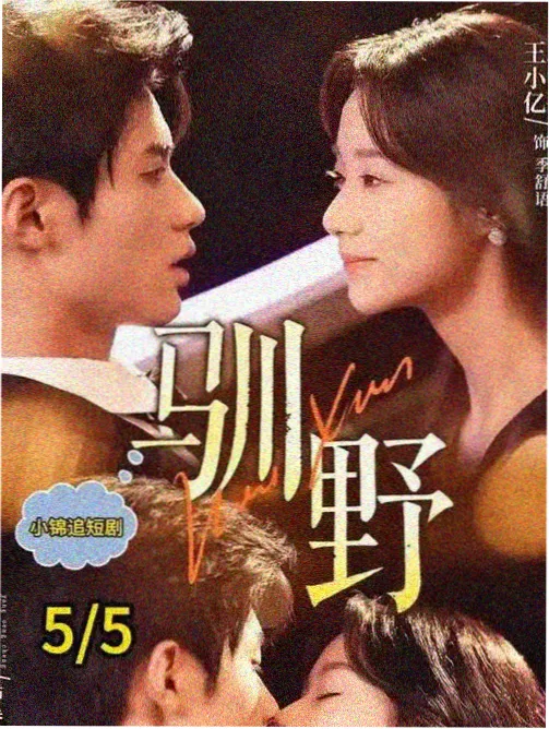 韶华若锦电视剧第八集